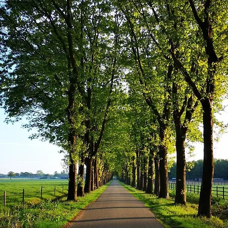 Boutique Lytel Blue فندق