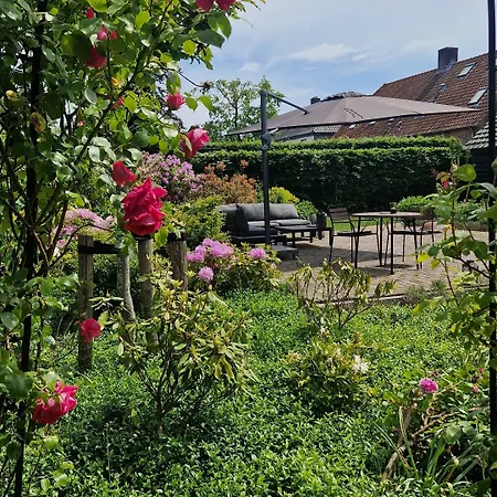 Boutique Lytel Blue Riethoven