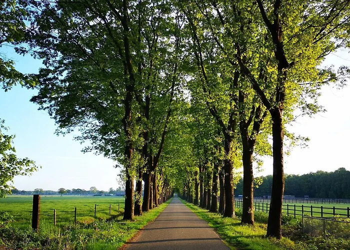 Boutique Lytel Blue 호텔