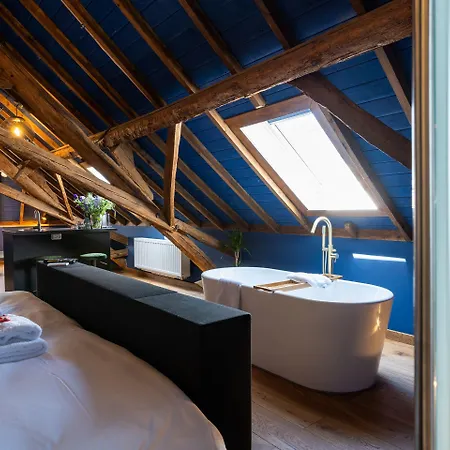 Boutique Lytel Blue 3* Riethoven